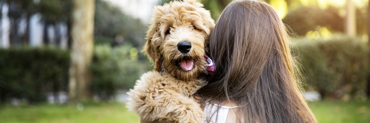 Clínica Veterinària Premià de Mar