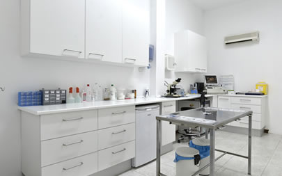 Veterinari Premià de Mar